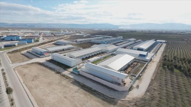 Amasya Suluova Besi Organize Tarım Bölgesi 1500 kişiye istihdam sağlıyor
