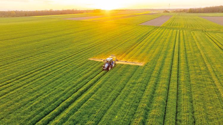 Çiftçinin zor seçimi Çiftçinin zor seçimi