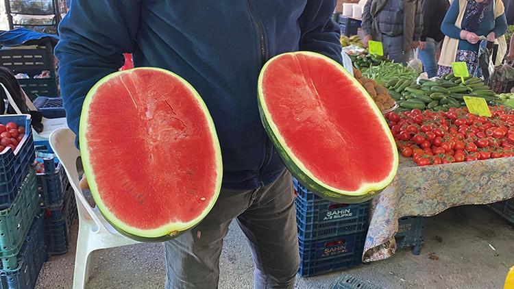 Sezonun ilk karpuzları tezgahlarda İşte fiyatı