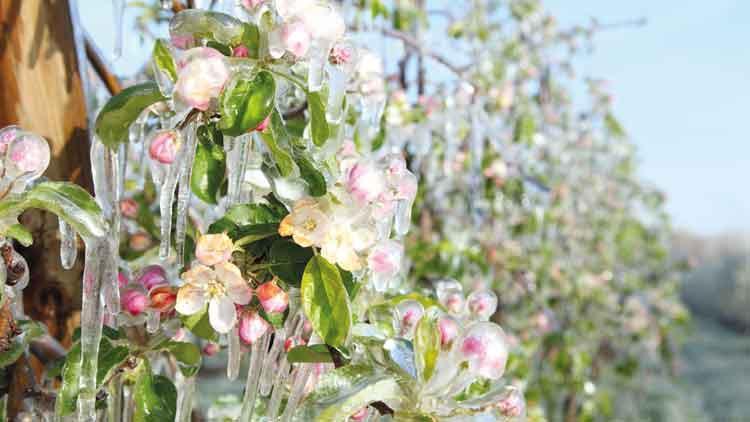 Tarımda kritik gece