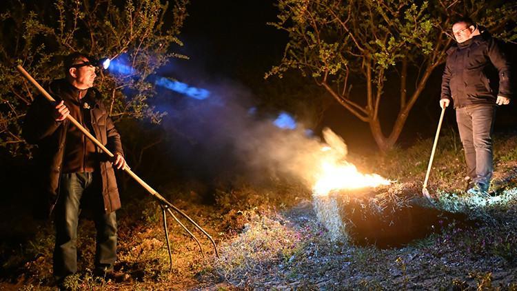 Tarım ve Orman Bakanlığı’ndan zirai don uyarısı