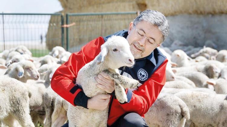 Kırsalda küçükbaş hayvan desteği için süreç başladı Kırsalda küçükbaş hayvan desteği için süreç başladı