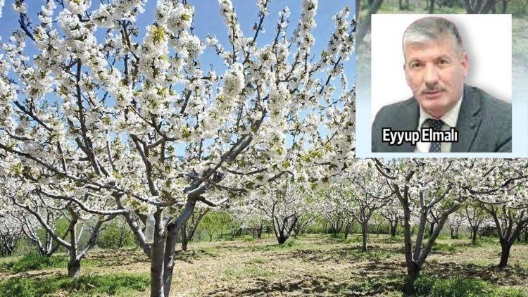 Umutlar çiçek açtı