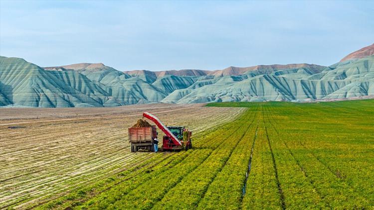 Tarlalar birleşiyor: 5 ilçede zorunlu toplulaştırma kararı