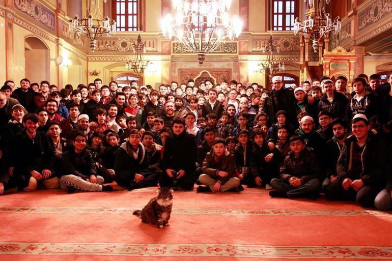 Kedi sever imam Mustafa Efe anlattı