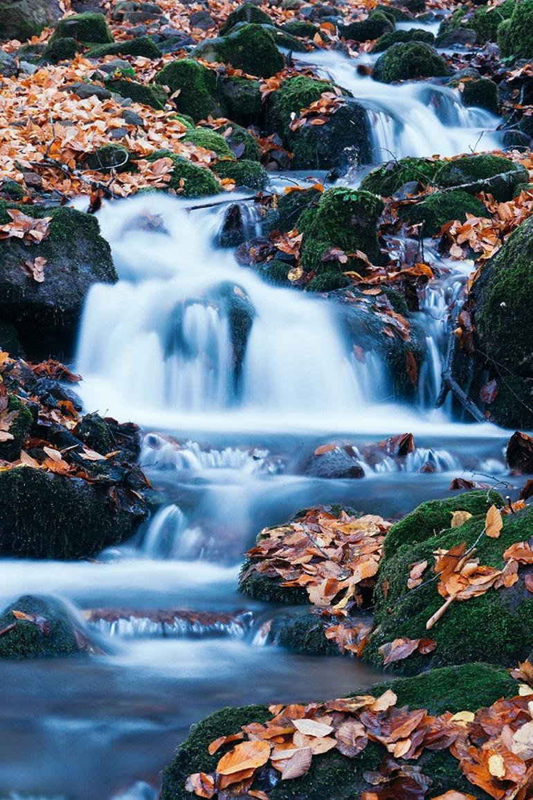 Türkiyede sonbaharda gidilecek en güzel yer: Yedigöller