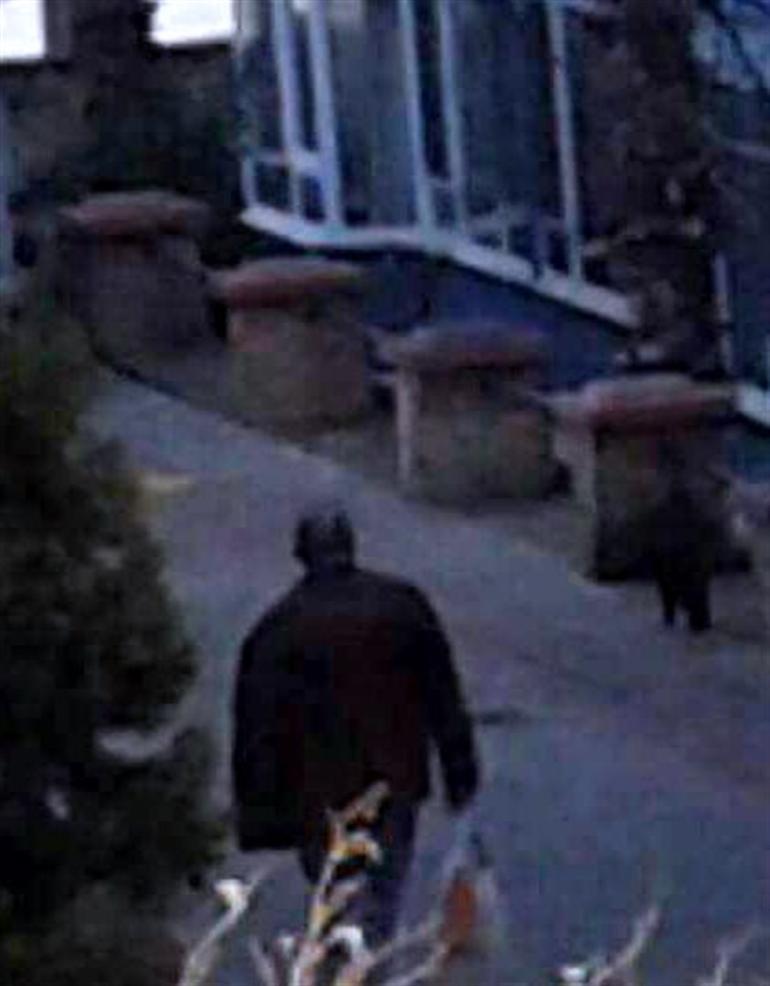 50 kedinin zehirlenmesiyle ilgili bir Rus vatandaşı gözaltında