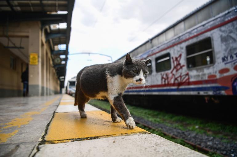 Trains to return to historic Istanbul station