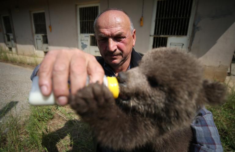 Bursa man taking care of bears for 15 years