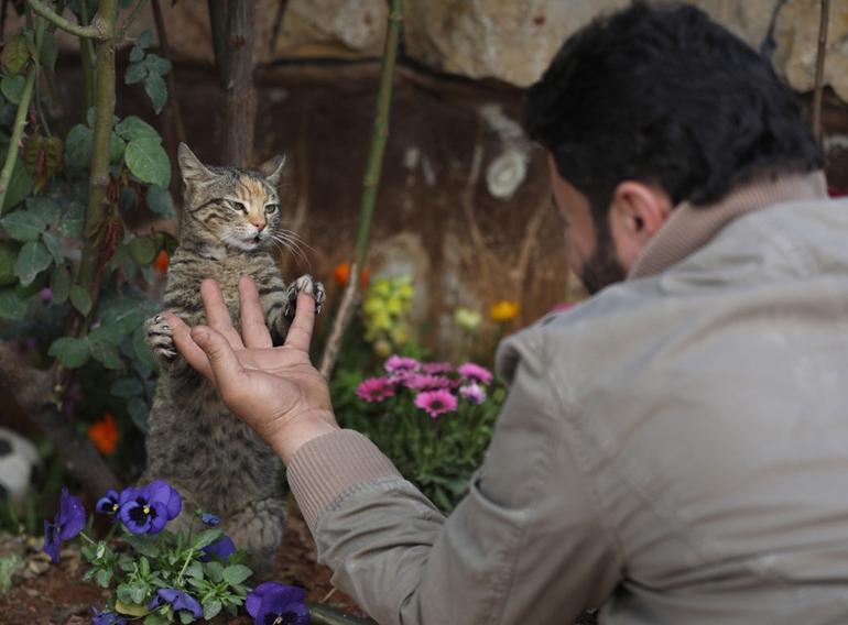 In war-torn Syria, cat man starts rare animal clinic