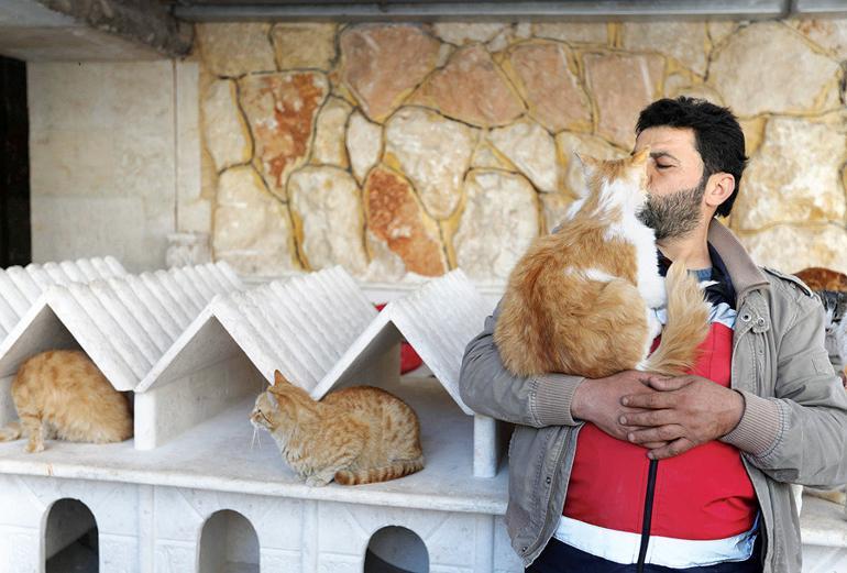 In war-torn Syria, cat man starts rare animal clinic