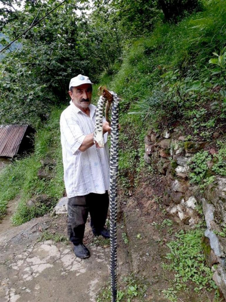 Scared Turkish man kills endangered snake