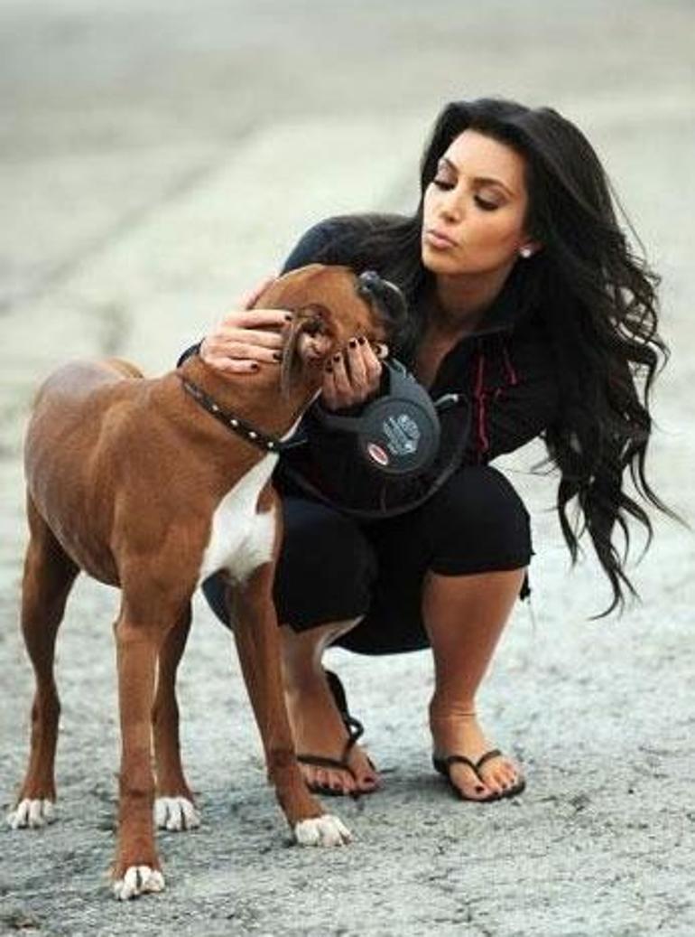 Kim Kardashian köpeğine yapay testis taktırdı - Son Dakika Magazin Haberleri