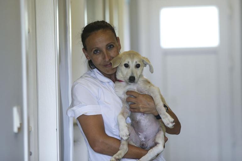 Wounded puppy ‘Kuzey’ recovering