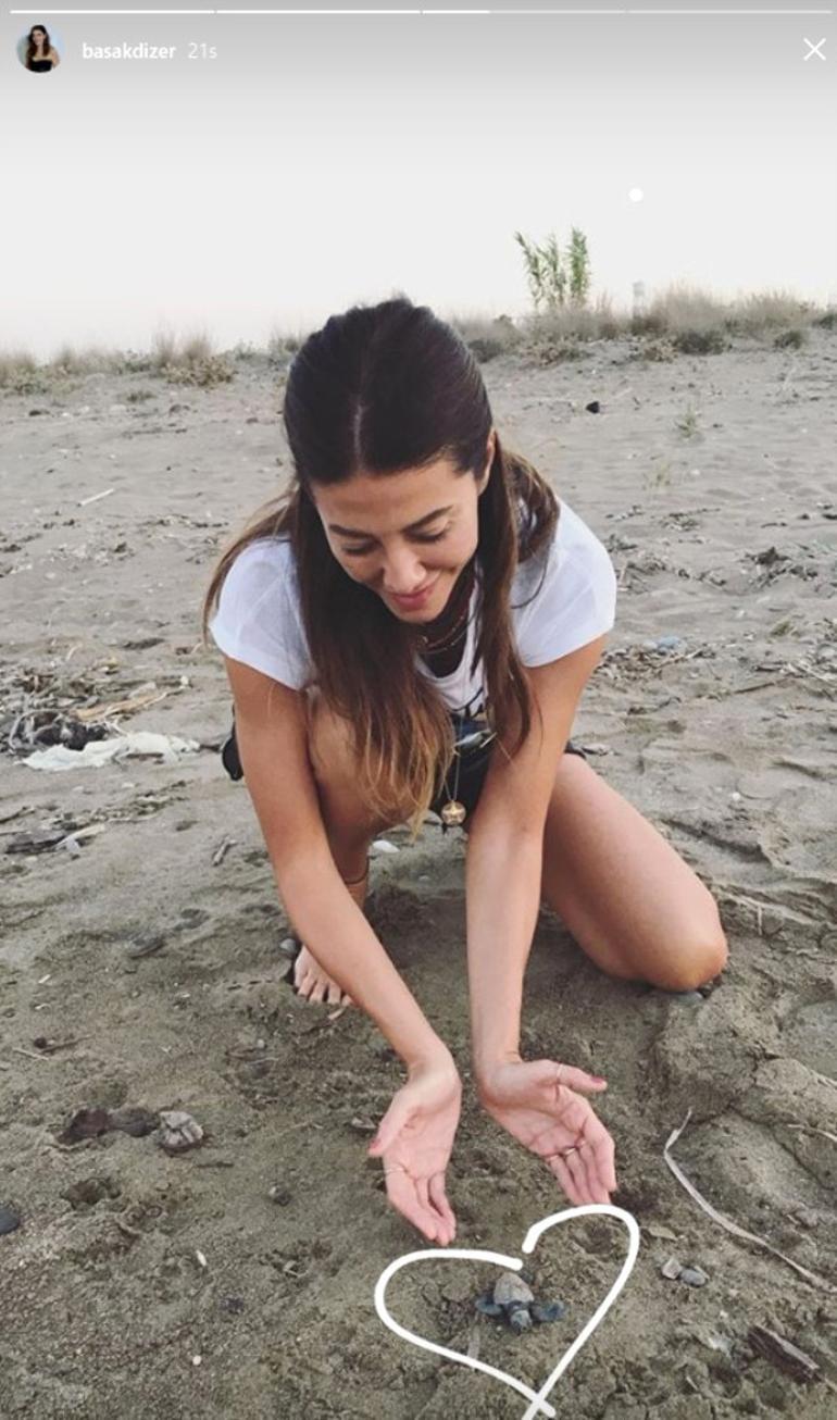 Turkish TV series actors rescue baby sea turtles