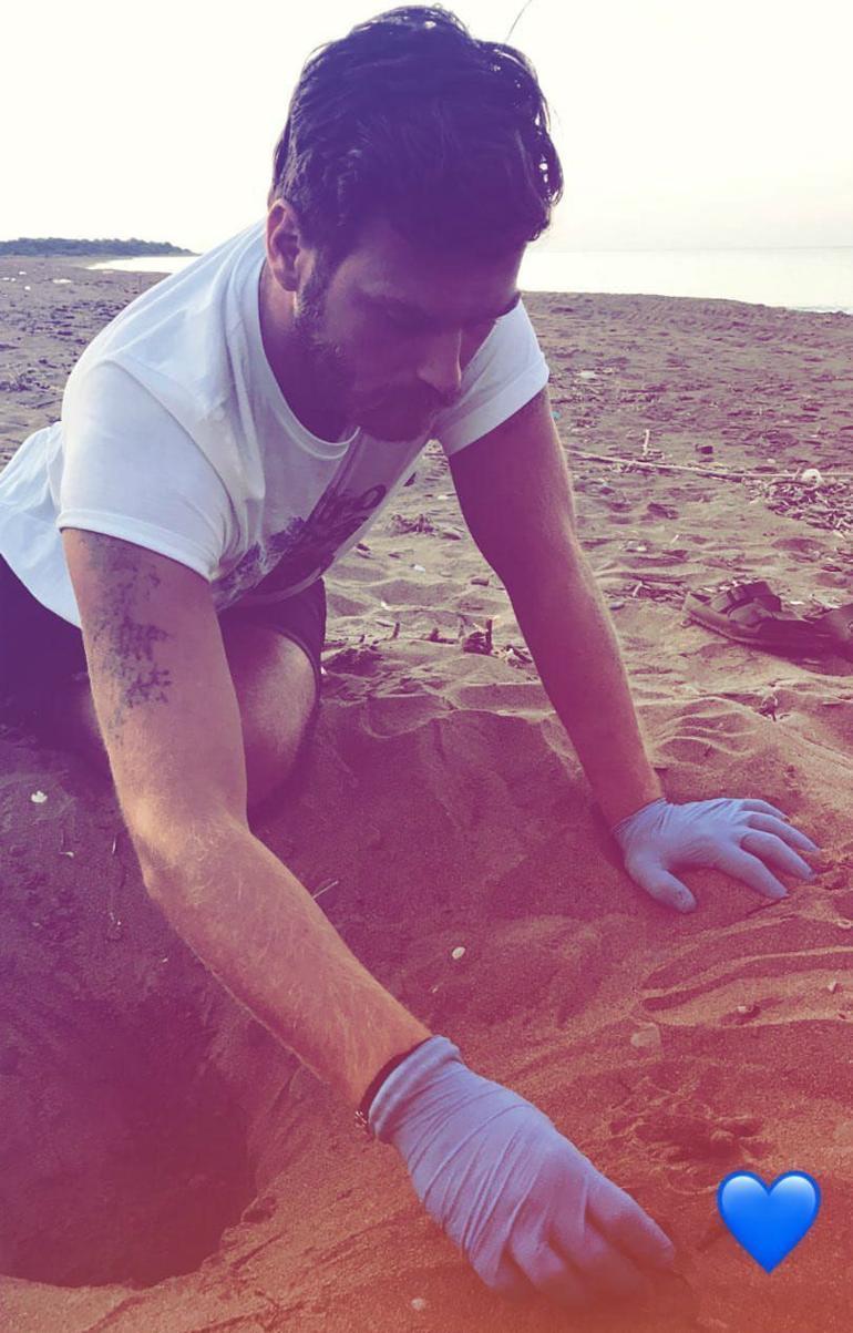 Turkish TV series actors rescue baby sea turtles