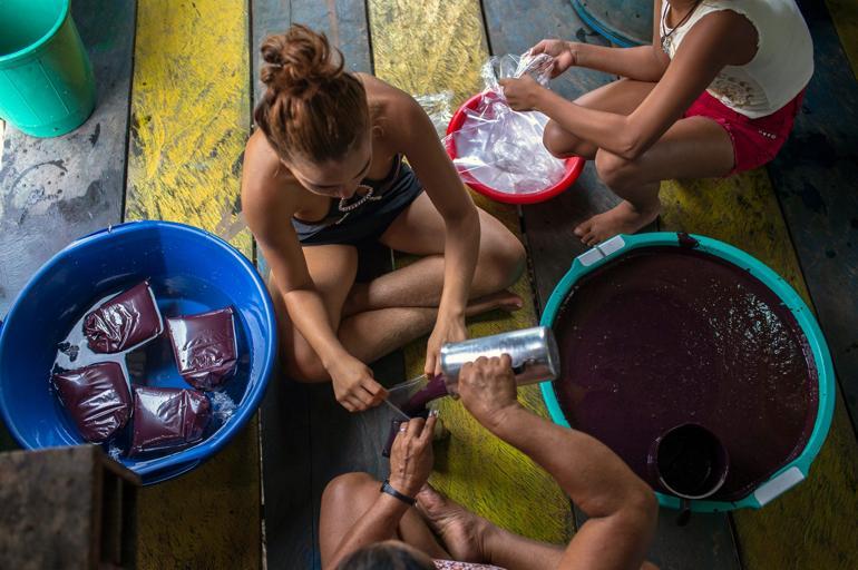 The art of living and thriving in the Amazon river basin