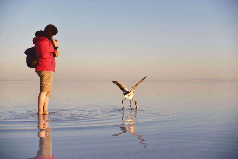 Turkey’s Salt Lake sanctuary for birds
