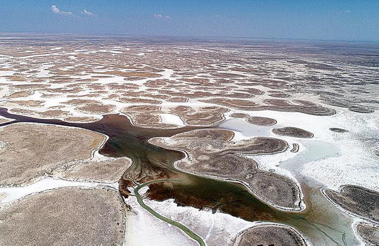 Turkey’s Salt Lake sanctuary for birds