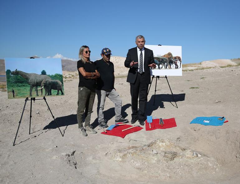 7.5 million-year-old bovidae fossils found in Turkey’s Kayseri province