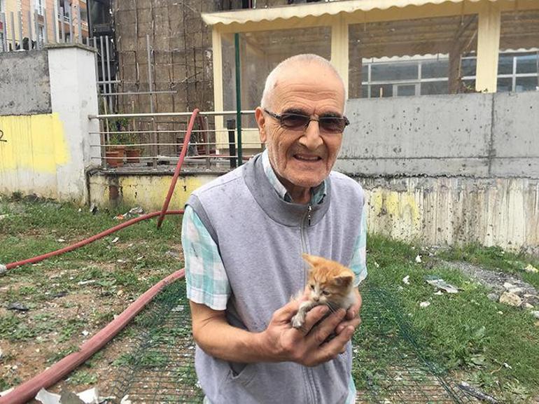 Turkish pensioner saves cats from fire by risking his life