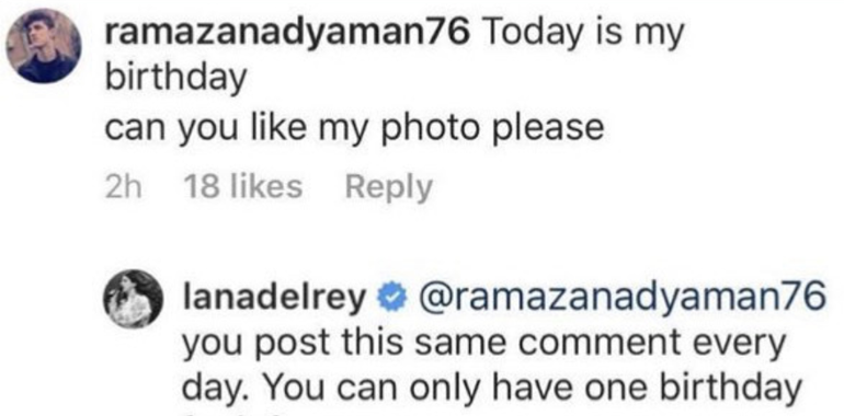 Lana del Rey hurls expletive at annoying Turkish fan