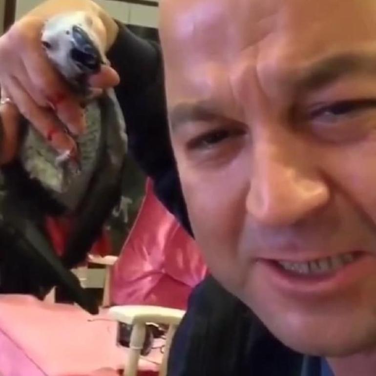 Turkish TV contestant detained for torturing parrot