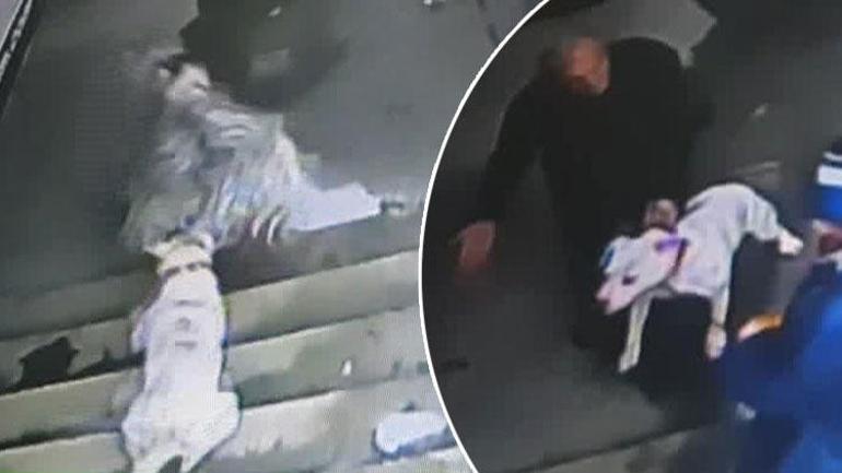 Goat attacked by dog during breakfast at Istanbul cafe