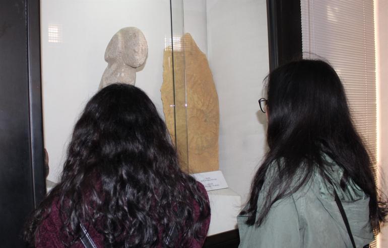 65-million-year-old giant snail presented in new exhibition in Turkey’s east