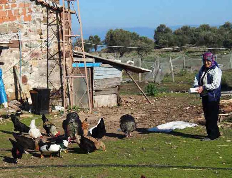 Turkish couple living on remote island for 15 years