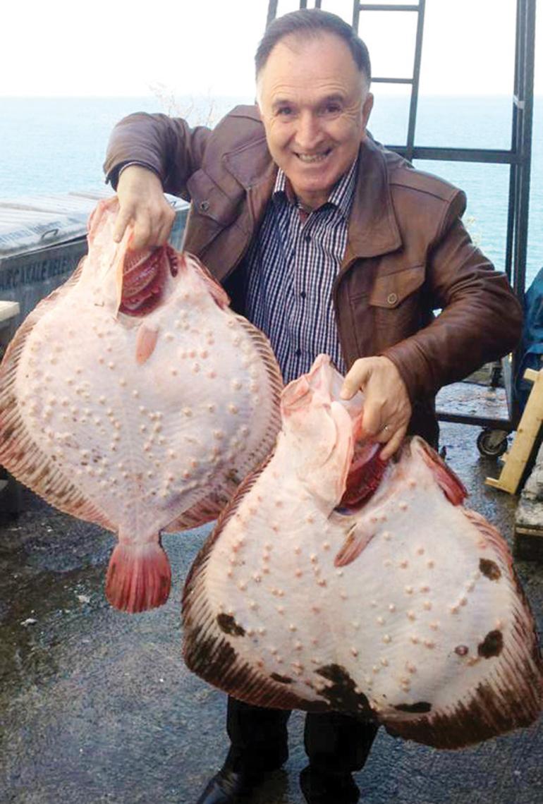 Balık sofralarının çirkin kralı kalkan