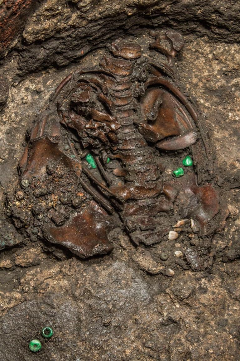 Aztec war sacrifices may point to royal tomb