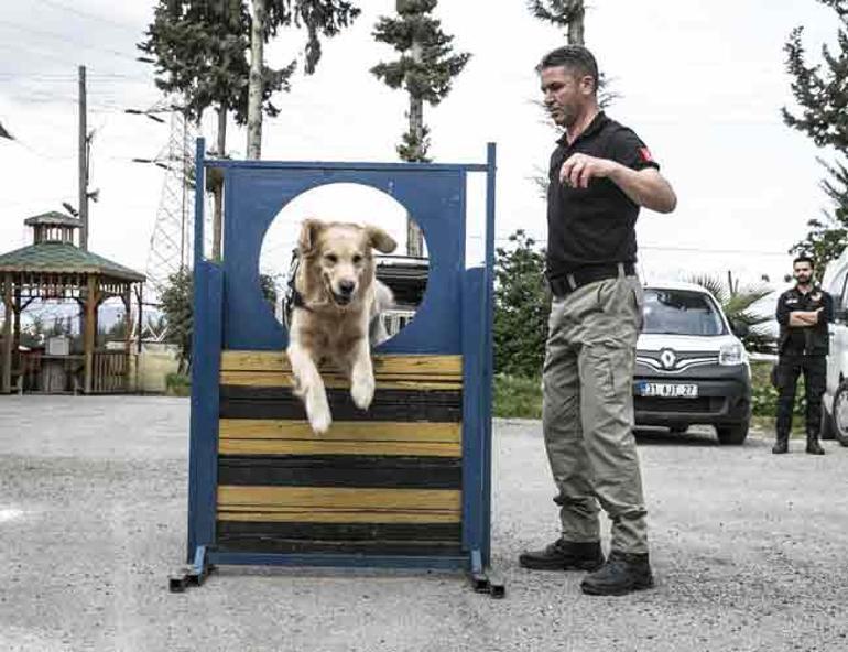 Sniffer dogs in border province challenge int’l drug traffickers