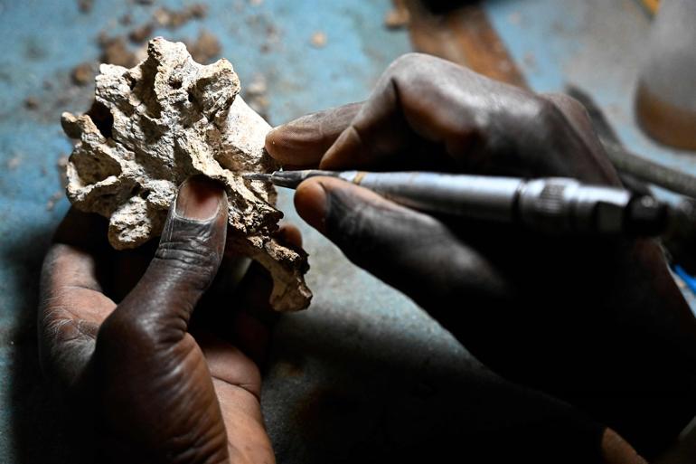 Hidden mysteries lie in wait inside Kenyas fossil treasury