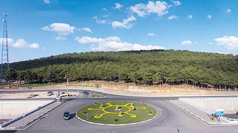 Green Dad recalls forestation campaigns in Turkey with Christian missionary, village bully