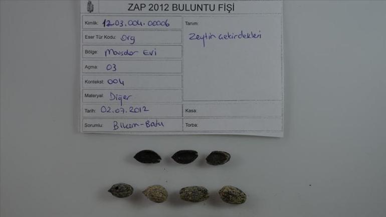 Ancient Zeugma to shed light on gastronomic history