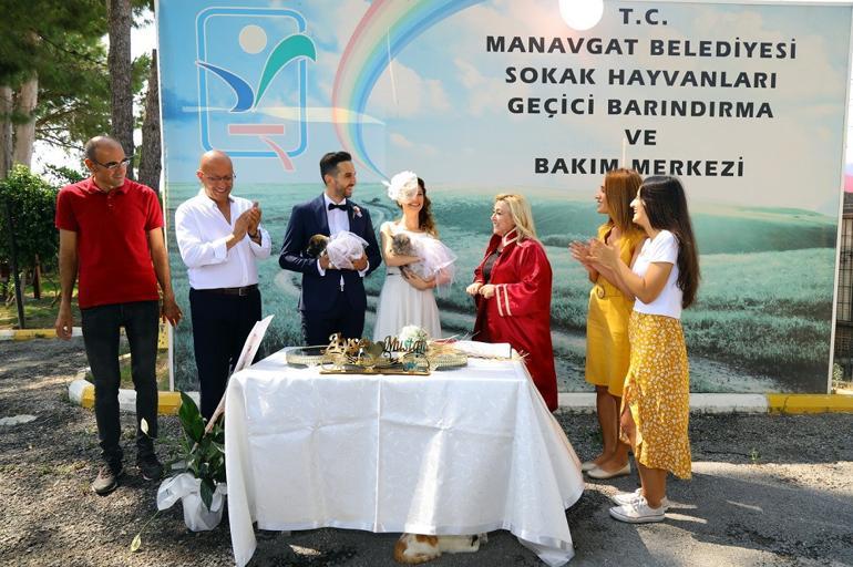 Couple gets married in animal shelter