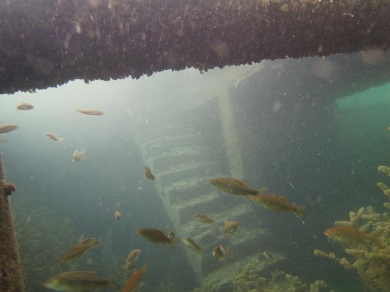 Underwater beauty of Rumkale to open to visitors