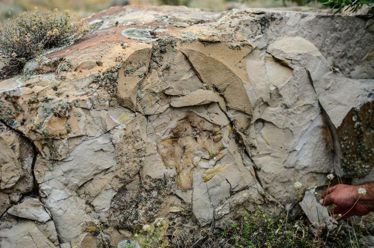 Mount Ararat was by a sea millions of years ago, say experts