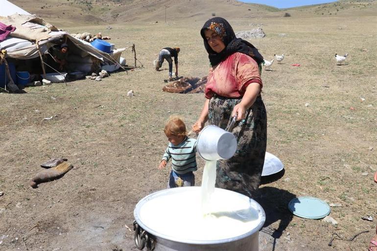Nomadic women climb mountains every day to earn a living