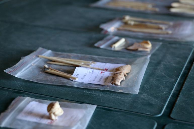 Some 2,500-year-old objects made from goat bones unearthed in Turkey’s west