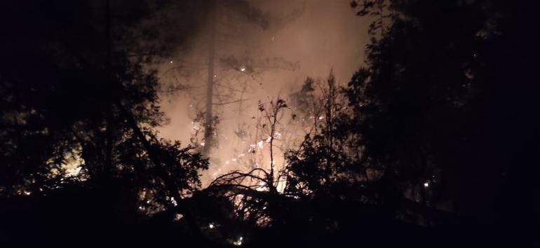 Fires break out on same day in three provinces of Turkey