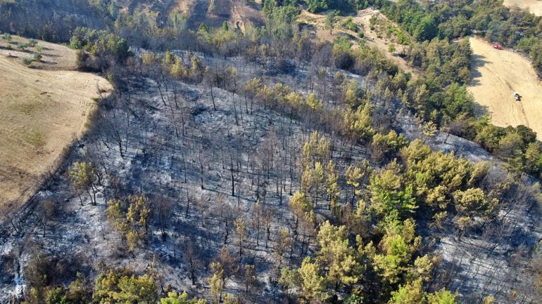 Fires break out on same day in three provinces of Turkey