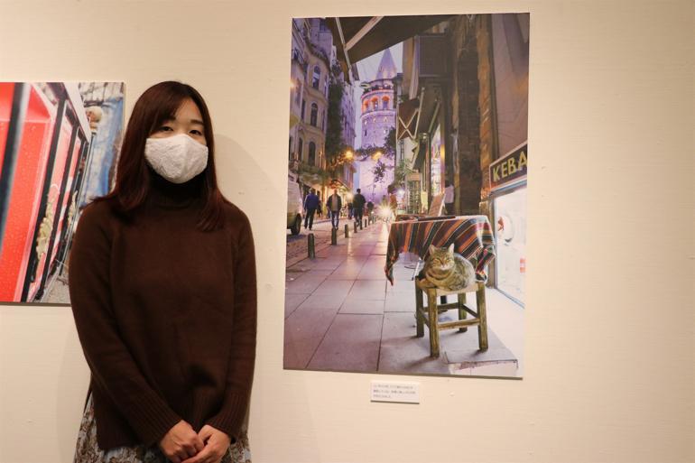 Japanese traveler exhibits Turkish cat in Japan