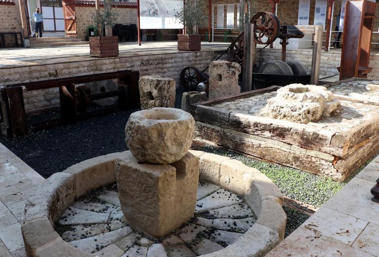 Olive museum in Turkey’s south enlightens visitors