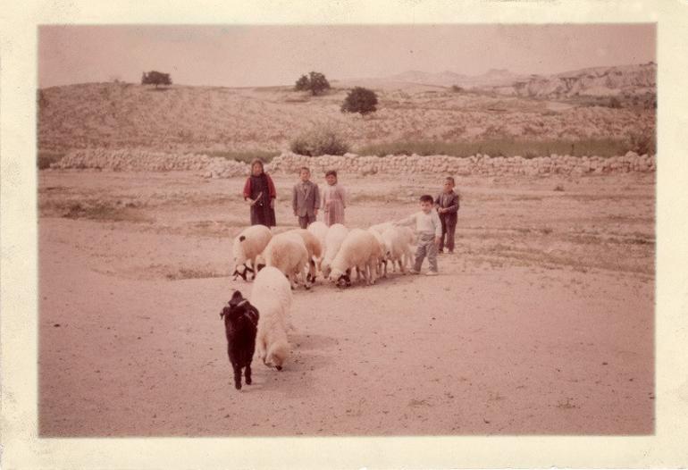 France wants strategic, normal dialogue with Turkey: Envoy