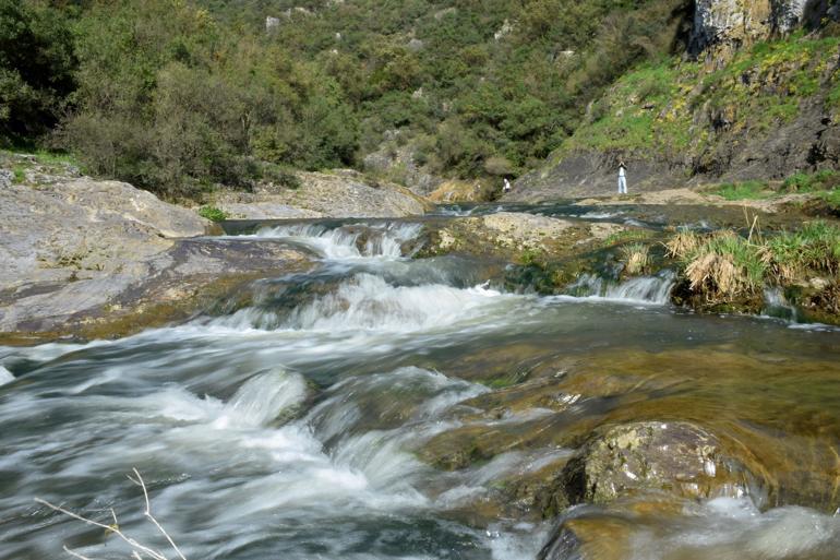 Avid birdwatcher identified 120 bird species in decade