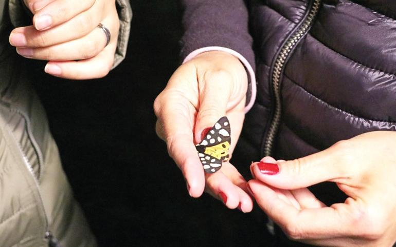 Academics track night butterflies in Amanoslar