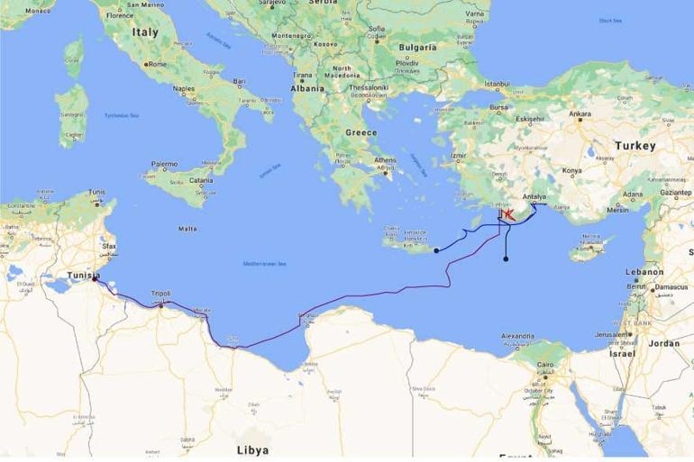 Satellite-tracked turtle ends up in Tunisia after 300-day journey