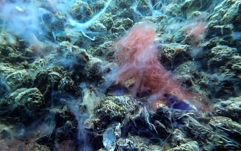 Turkey collects nearly 3,300 cubic meters of mucilage from sea